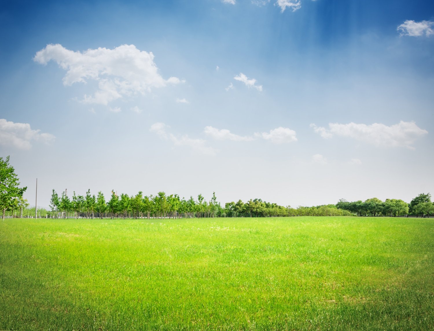 Banmankhi, Purnia - 17 Bigha